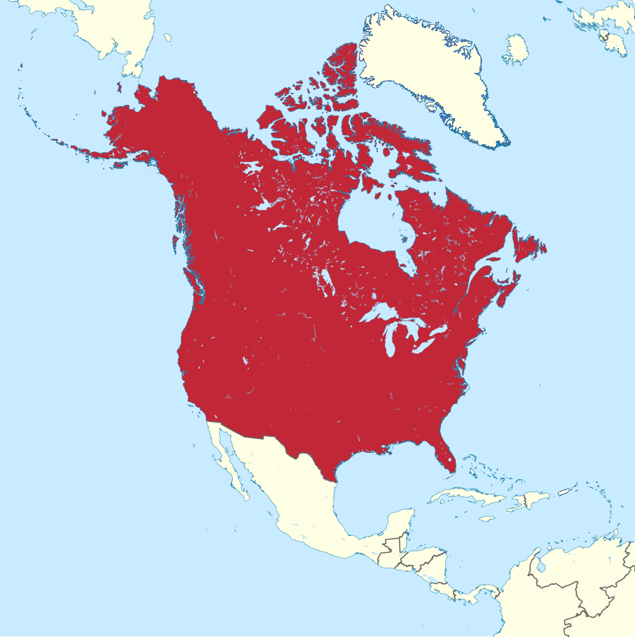 Student filling out a geography worksheet showing North American borders