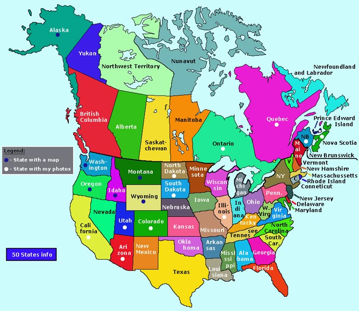 A family examining a printed wall map of North America together